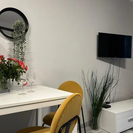 Parkcity Bogucice Karoliny Apartment