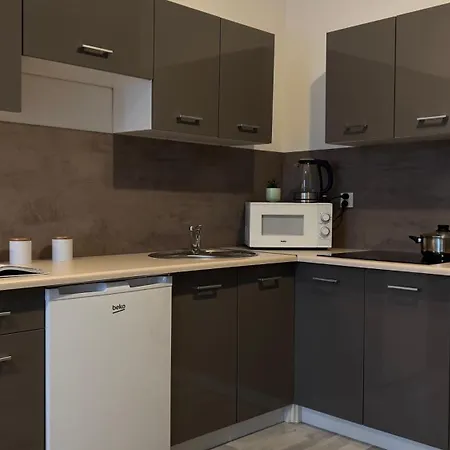 Parkcity Bogucice Karoliny Apartment