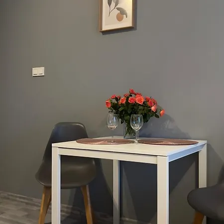 Appartamento Parkcity Bogucice Karoliny *