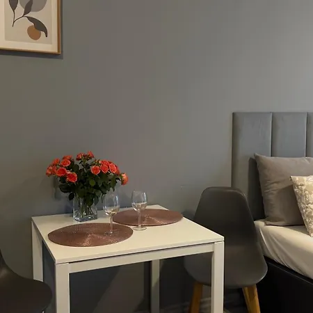 Apartment Parkcity Bogucice Karoliny