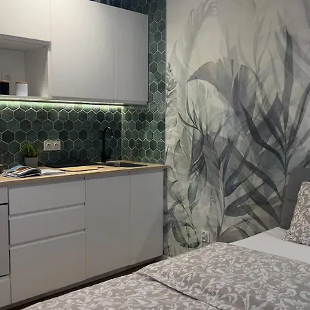 Apartment Parkcity Bogucice Karoliny *